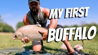 Can You Catch a Buffalo with Carp Tackle?