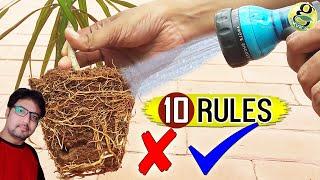 WATERING Plants Correctly in Gardening | How to water a plant & How Often?