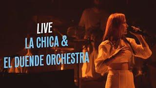 La Chica & El Duende Orchestra "Serpiente" | Live | La Seine Musicale