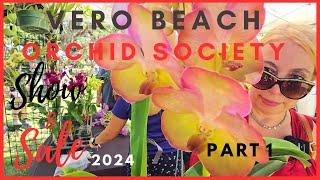 Vero Beach Orchid Society Show & Sale 2024. Amazing finds. Part 1