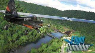 I hear Banjos! Paddle faster! - West Virginia Bush Flying - MSFS 2020
