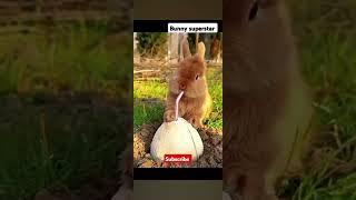 Bunny  cold Drink (Bunny superstar) please  subscribe and share it Like