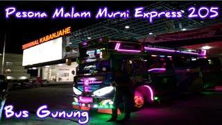 Pesona Malam Murni Express 205