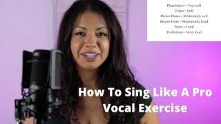 vocal exercises for an awesome voice - The importance of singing with dynamics and volume control
