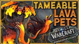 DRAGONFLIGHT NEW TAMEABLE LAVA PETS | World of Warcraft: Dragonflight Beta