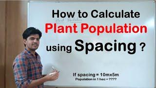 How to calculate Plant Population using Spacing || Agri Wale || Atul Singh ||