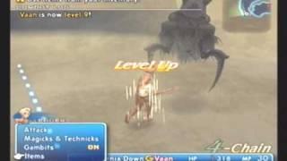 Final Fantasy XII Perfect Game Part 1 - Dustia Leveling