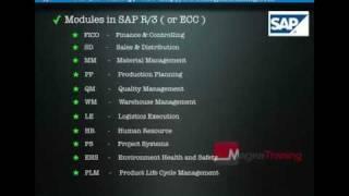 SAP - What is SAP?