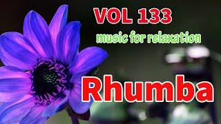 Rhumba melody, Soft music for relaxation 2024, 80s music style, vol 133