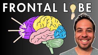 The Frontal Lobe - Location and Function