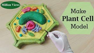 Simple and Easy way to make plant cell Hexagone shape model |3d styrofoam carving
