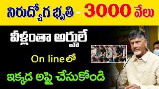 #ap  నిరుద్యోగ భృతి- 3000 |ఎవరికి ఇస్తారు|ఎలా అప్లై చేసుకోవాలి | Mukyamantri Yuvanestam Detai;s2024