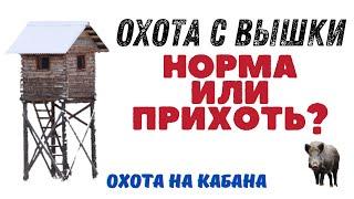 Охота на кабана! Охота с вышки. Норма или прихоть?