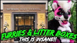 School Puts "Litter Boxes" In Bathrooms For Kids That Identify As "Furries"