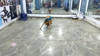 Best on Mai Aai Hoon U.P Bihar Lootne || Choreograph by Kajal Goel
