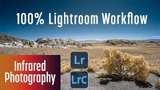 100% Lightroom workflow for Infrared Photography