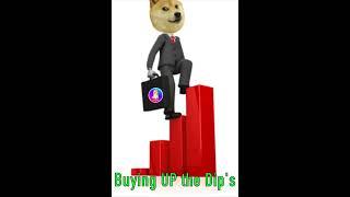 BUYING UP the PulseDogeCoin $PLSD