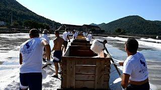 Traditional salt harvest continues in Croatia | AFP