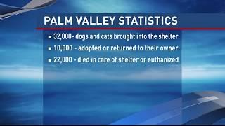 Palm Valley responds to viral video