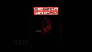 Scary Deep Sea creature #facts #trend #news #viral #scary #trending shorts #deepsea #factopiaRXM