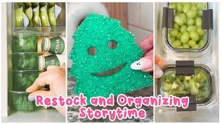  1 Hour Satisfying Restock And Organizing Tiktok Storytime Compilation Part 67 | Lisa Storytime