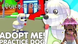 | NEW SECRET PRACTICE DOG?!? | (ADOPT ME) #roblox #adoptme