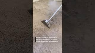 Super satisfying carpet cleaning!   -   topshelfcarpetcleanersaz