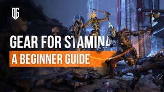 A Beginners Guide to Stamina DPS Gear in The Elder Scrolls Online