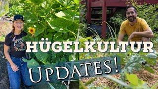 Hugelkultur Update- With Greg from Some Room to Grow