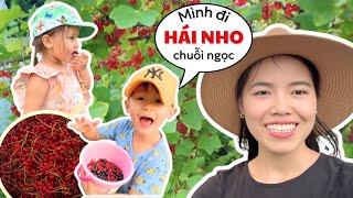 Picking Red Pearl Grapes to Cook and Store for Winter in Finland - Thuy Jyri Family Finland