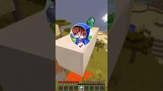 Why Did She Do It  #minecraft #thedeinekoartem #thedei 184