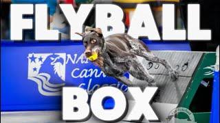 The Flyball Box- Explained