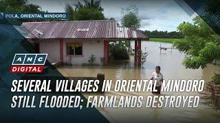 Several villages in Oriental Mindoro still flooded; farmlands destroyed | ANC