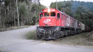 Trem ALL/Rumo cruzando PN perto de Rio Vermelho