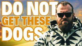 DO NOT Get These Dog Breeds!