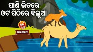 Pani Bhitare Ota Pithire Bilua ପାଣି ଭିତରେ ଓଟ ପିଠିରେ ବିଲୁଆ | Odia Moral Story | Huke Hu TV