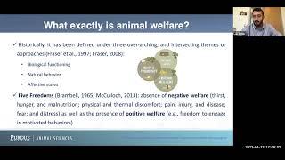 Luiz Brito: Improving livestock welfare through genomics and complementary data sources