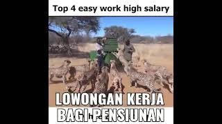 Top 4 Easy Work High Salary!!!