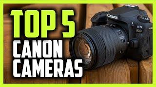Best Canon Camera in 2020 [Top 5 Picks For Video & Photography]