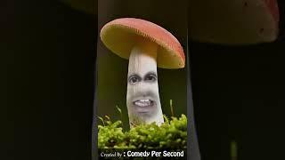 Mushroom ki Tension | Comedy Per Second #shorts #jokes #comedy