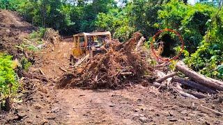 Very Extreme! D6r XL bulldozer operator builds a new road on mountain cliff filled with fallen tree