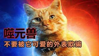 原来漫威里的小猫咪曾生吞惊奇队长，甚至可以吞噬灭霸军团？