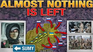 The US-Ukraine Talks Have Begun️Massive Drone AttackSudzha CollapsesMilitary Summary 2025.03.11