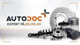 AUTODOC - BILDELAR I NÄTAFFÄR MED ÖVER 1 200 000 RESERVDELAR