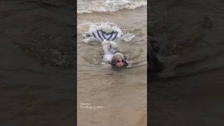 Mermaid gets forced out of the water by waves