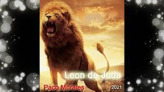 Leon de Juda No sufras mas Paco Morales