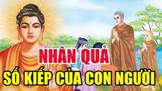 SỐ KIẾP CON NGƯỜI, Câu Chuyện Phật Giáo Hay Nhất Về Số Phận Của Con Người | Truyện Phật Giáo