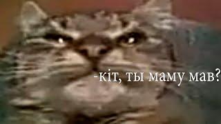 кiт, ты маму мав? (Трек, Ремикс)