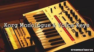 Korg Monologue & Volca Keys - Melodic live jam/performance