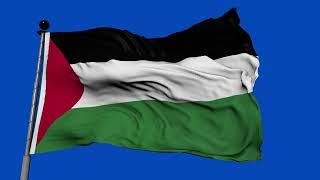 Palestine Flag Waving  | GREEN SCREEN & CHROMA MATTE